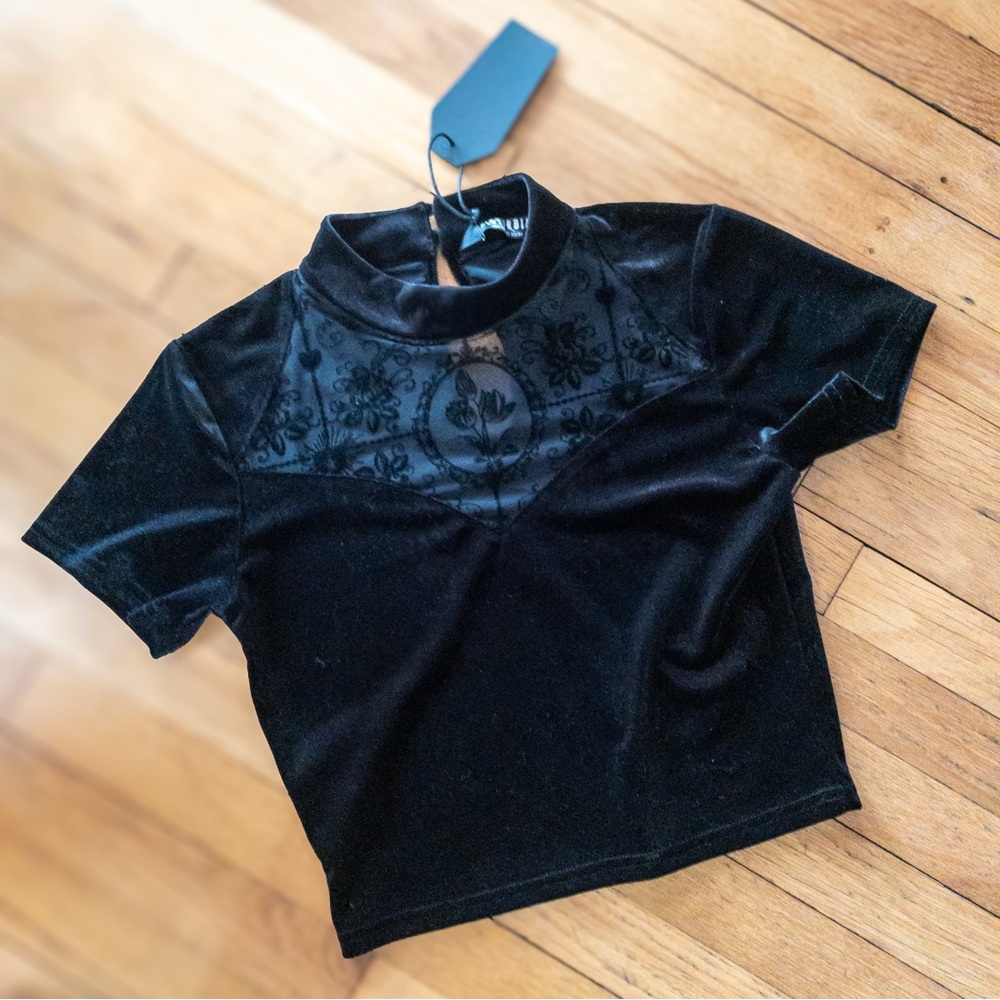 🖤🐦‍⬛ DISTURBIA Cameo Floral Flocked Mesh Velour High Neck Top NWT 🐦‍⬛🖤